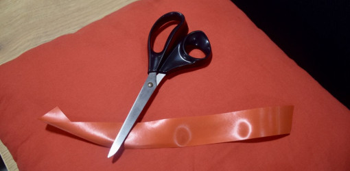 vsj batocina 2024 20