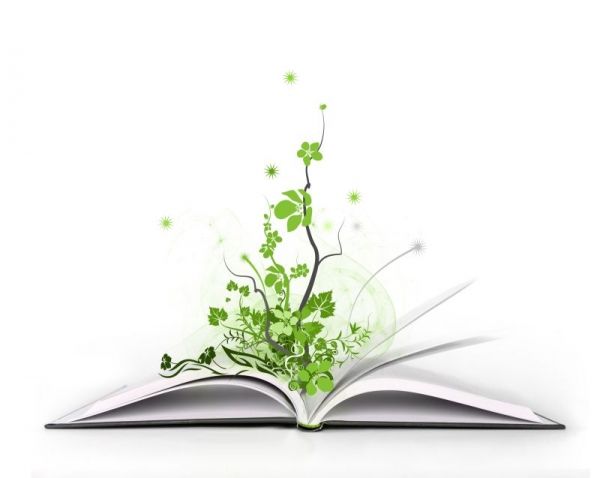 Odličan plasman Pravnog fakulteta za privredu i pravosuđe u Novom Sadu na 11. nacionalnom takmičenju iz međunarodnog humanitarnog prava